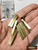 M01369 MOREZMORE HPA 10 Cut 30mm Square Brass Tubes 5/32" K&S #8152