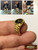 M01404-Gold MOREZMORE Mini Puppet Male Status Watch Miniature Prop
