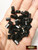 M01517-8x5 MOREZMORE HPA 50 M3 Nylon Female Connector 8mm M3x8 Standoff