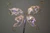 M00165 MOREZMORE 1 Yard Each Color Angelina Fantasy Film 19 COLORS Pack Heat Bondable