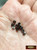 M00726-GunMetal MOREZMORE 10 Metal 4mm Miniature Buttons 1:6 Scale Mini Doll Puppet