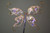 M00178-1 MOREZMORE Yard Angelina Fantasy Film CALYPSO BLUE Heat Bondable 1Y