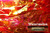 M00183-1 MOREZMORE Yard Angelina Fantasy Film WATERMELON PINK Heat Bondable 1Y