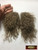M00530 MOREZMORE Hair Tibetan Lamb Remnants COFFEE BROWN Doll Wig