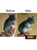 M01315 MOREZMORE Fuzz Fix Hair Gel Smooth Finish for Needle Felting Xtreme Gel Clear