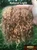 M00328-XL MOREZMORE Hair Tibetan Lamb Extra Long Premium BROWN SUGAR 4x4 Doll Puppet