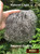 M00471 MOREZMORE Hair Tibetan Lamb Seconds CHARCOAL GREY Doll Hair Wig