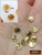 M00686-1 MOREZMORE 1 Miniature Gold 6mm Coin Metal Money 1:6 Scale Prop