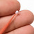 M01201-1 MOREZMORE 1 2.5 mm MicroBrush Micro Brush Applicator Mini Swab
