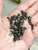 M00275x5-GunMetal MOREZMORE 50 Metal 5mm Miniature Buttons 1:6 Scale Mini Doll Puppet