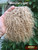 M00296-Short MOREZMORE Tibetan Lamb CAMEL BLONDE 4x4 Doll Hair