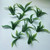 M01539 MOREZMORE 10 Artificial Plants Fern 1:6 Scale Miniature Landscape Grass Leaves