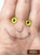 M01588x5 MOREZMORE 5 Pairs Glass Eyes Iris 8mm YELLOW Flat Back Doll Puppet