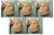 HR055-500 MOREZMORE 500g Merino Fine Wool Roving FAWN ORANGE BROWN 100% Wool 66S for Needle Felting Felt