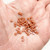 M01015-Brown MOREZMORE 50 Miniature 3mm Buttons Mini Puppet Doll Baby Clothes