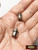 M00392-50 MOREZMORE 50pcs Mini Electric Lights Cordless Cool White LED Battery Included