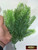 M00374 MOREZMORE 20 Artificial Plants Faux Christmas Tree Branches Pine Fir Tree