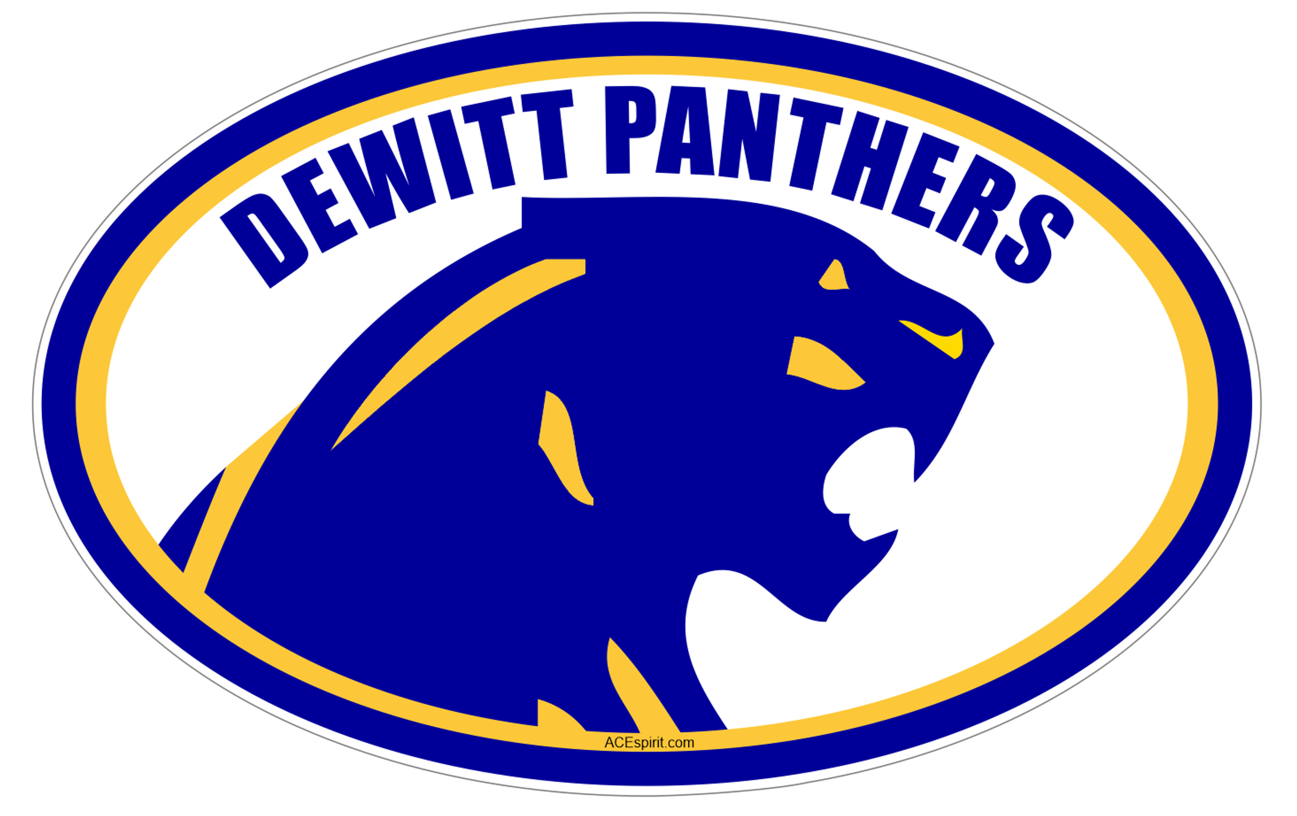 Dewitt Public School Panther Car Decal