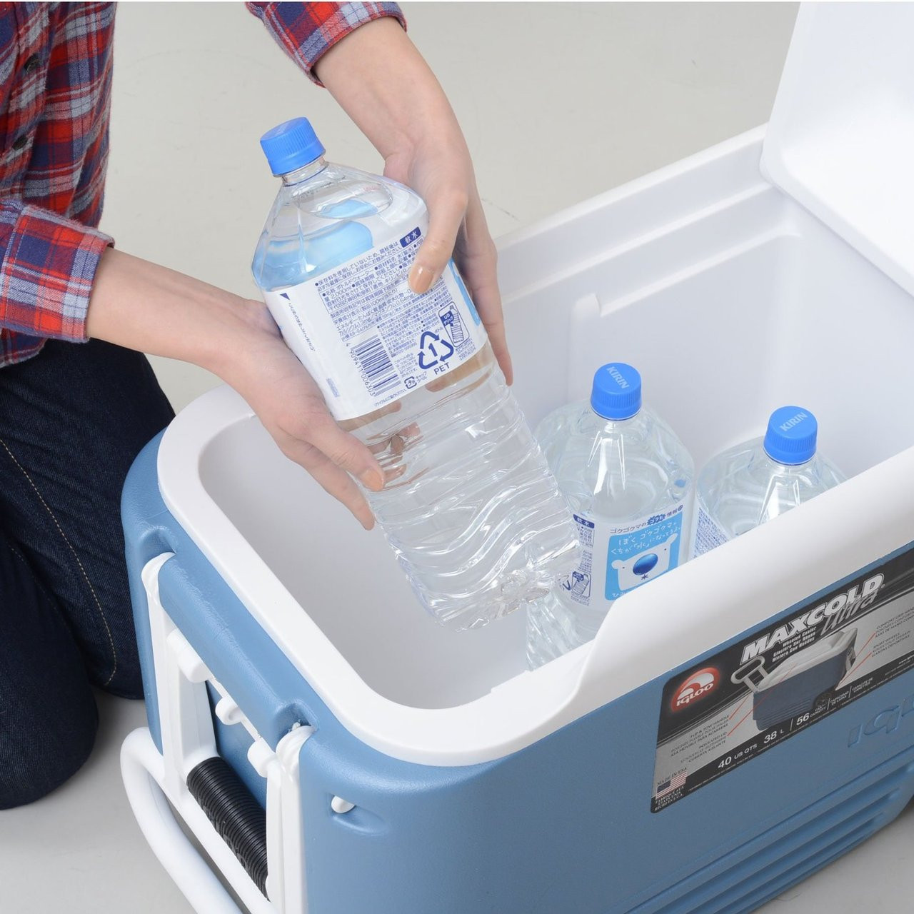 igloo maxcold 40 roller cooler