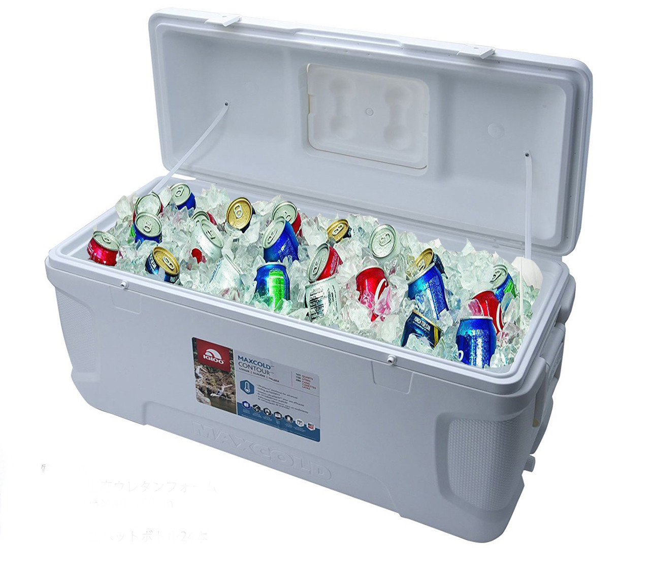 igloo cold box