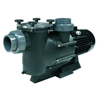 Certikin Hurricane Commercial Swimming Pool Pump (with pre filter) Certikin Hurricane Commercial Swimming Pool Pump (with pre filter)