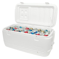 igloo sportsman profile 2 30qt cooler