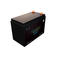 Foxygen 230ah Lithium Leisure Campevan