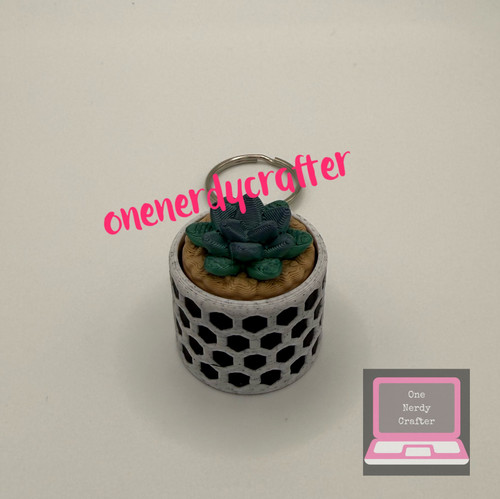Honeycomb Pot Succulent Fidget Clicker Keychain