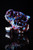 David White Glass - T.Rex Skull (Non Functional)