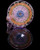 Mothership Glass - Pink Ark SFT