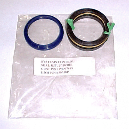 Angel Cylinder Seal Kit, 10' Plow , Boss HYD07688