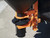 SALTDOGG® TGSUVPROA 4.4 CUBIC FOOT TAILGATE SPREADER