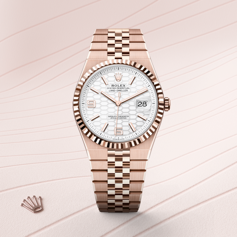 rolex Land-Dweller in 18 ct Everose gold, M127335-0001 - Global Watch Company (GWC)