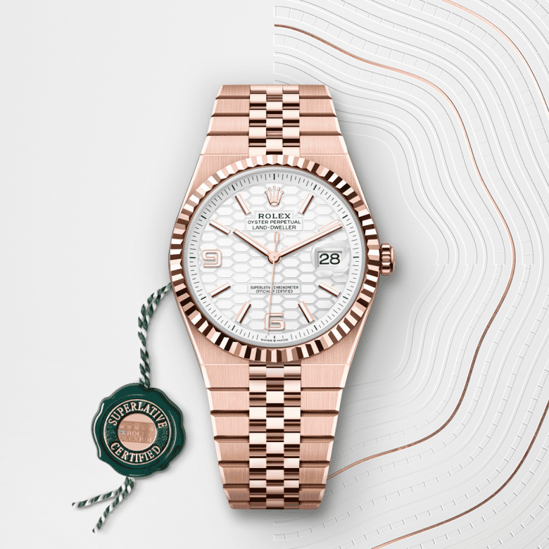 Rolex Land-Dweller in 18 ct Everose gold, M127335-0001 - Global Watch Company