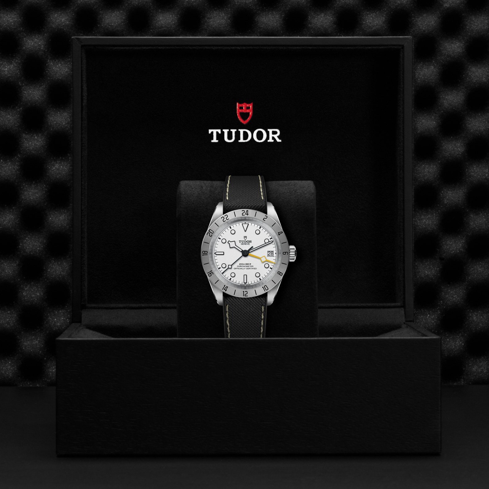 Tudor - Global Watch Company