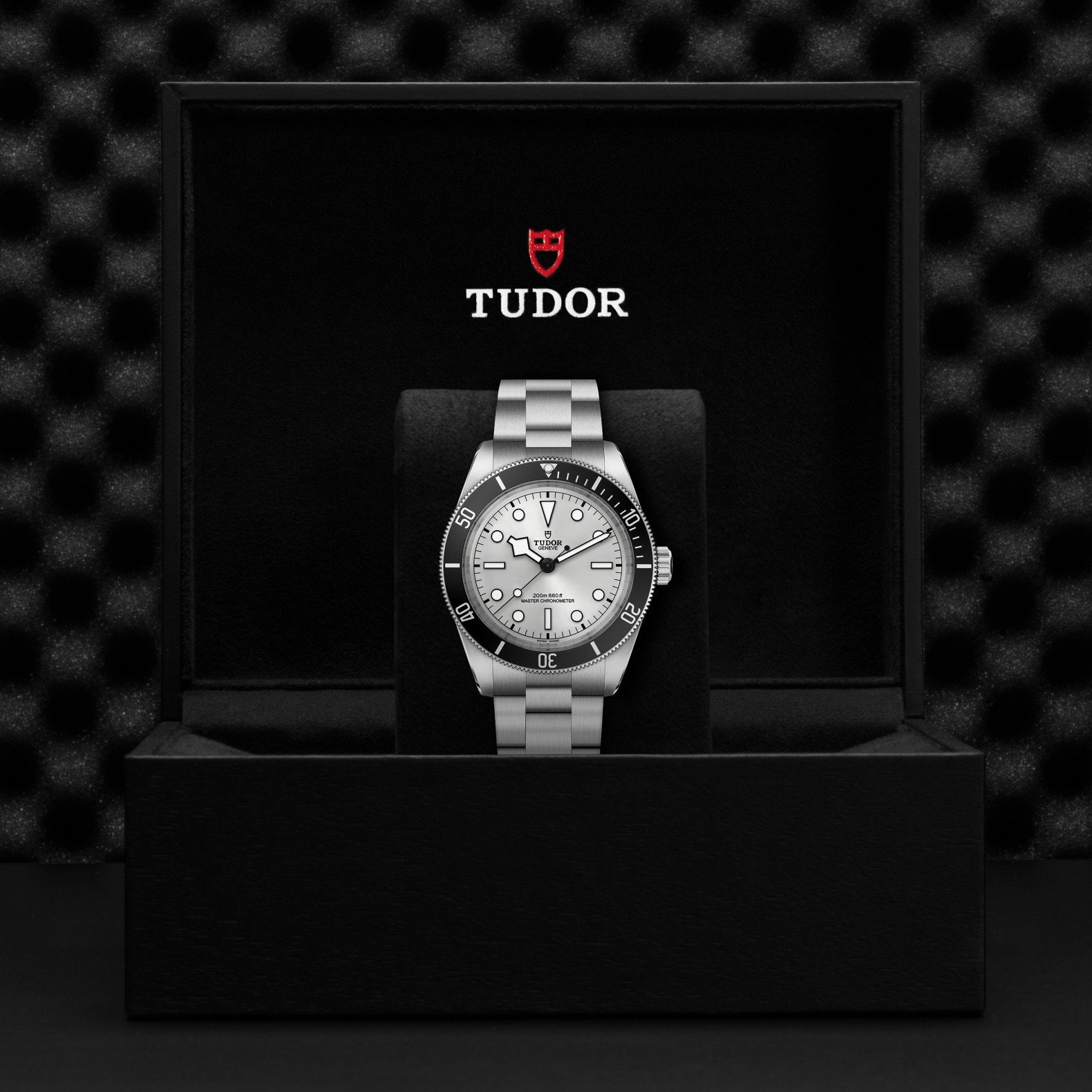 Tudor - Global Watch Company