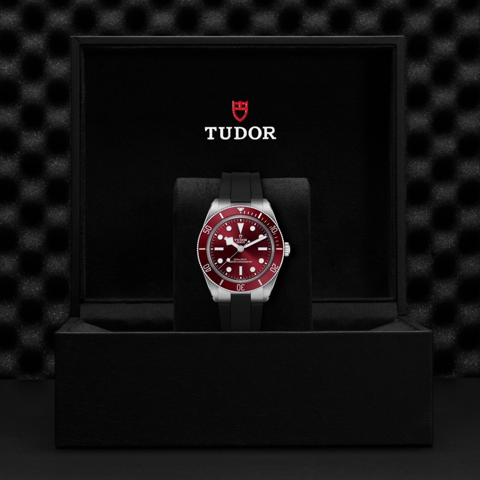 Tudor - Global Watch Company