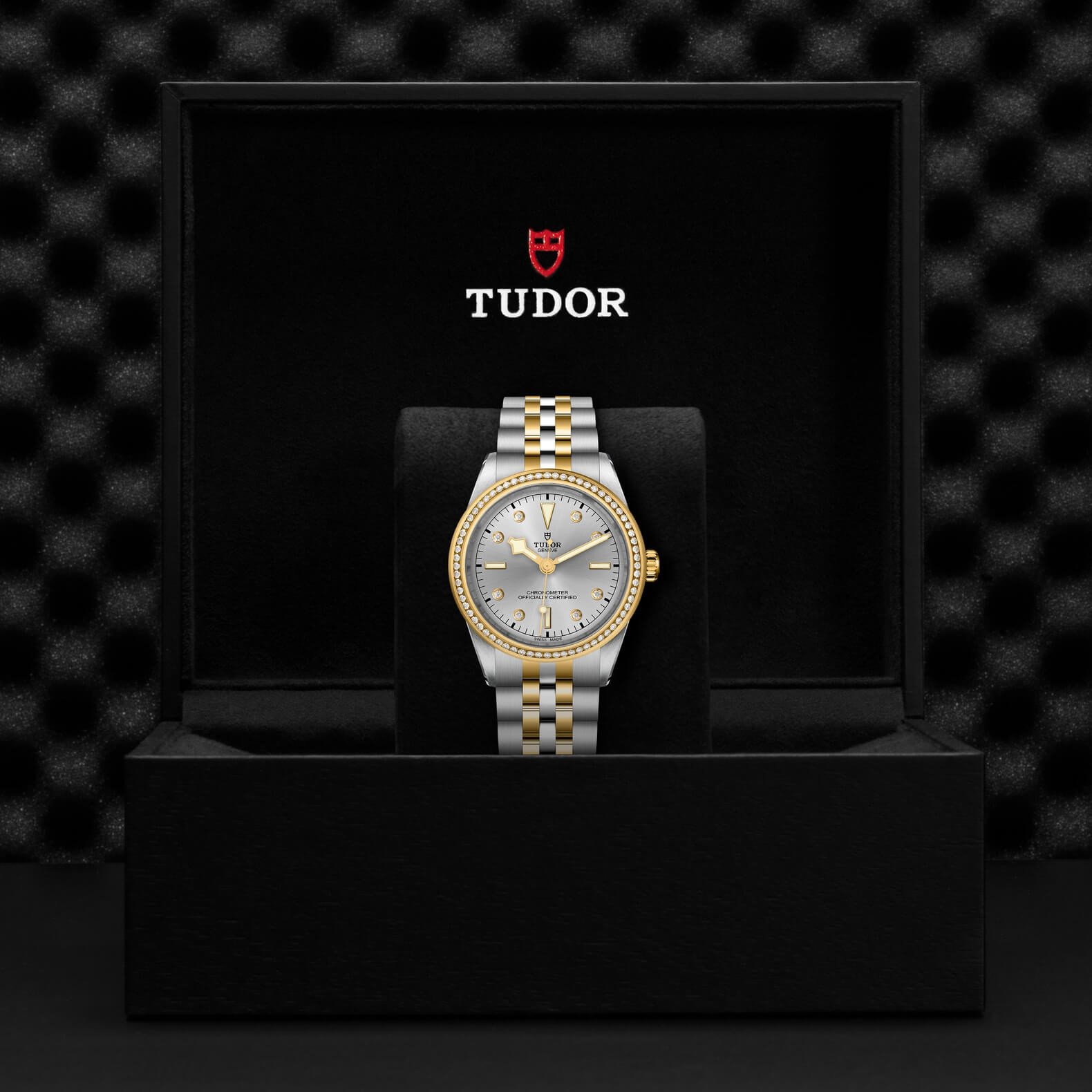 Tudor - Global Watch Company