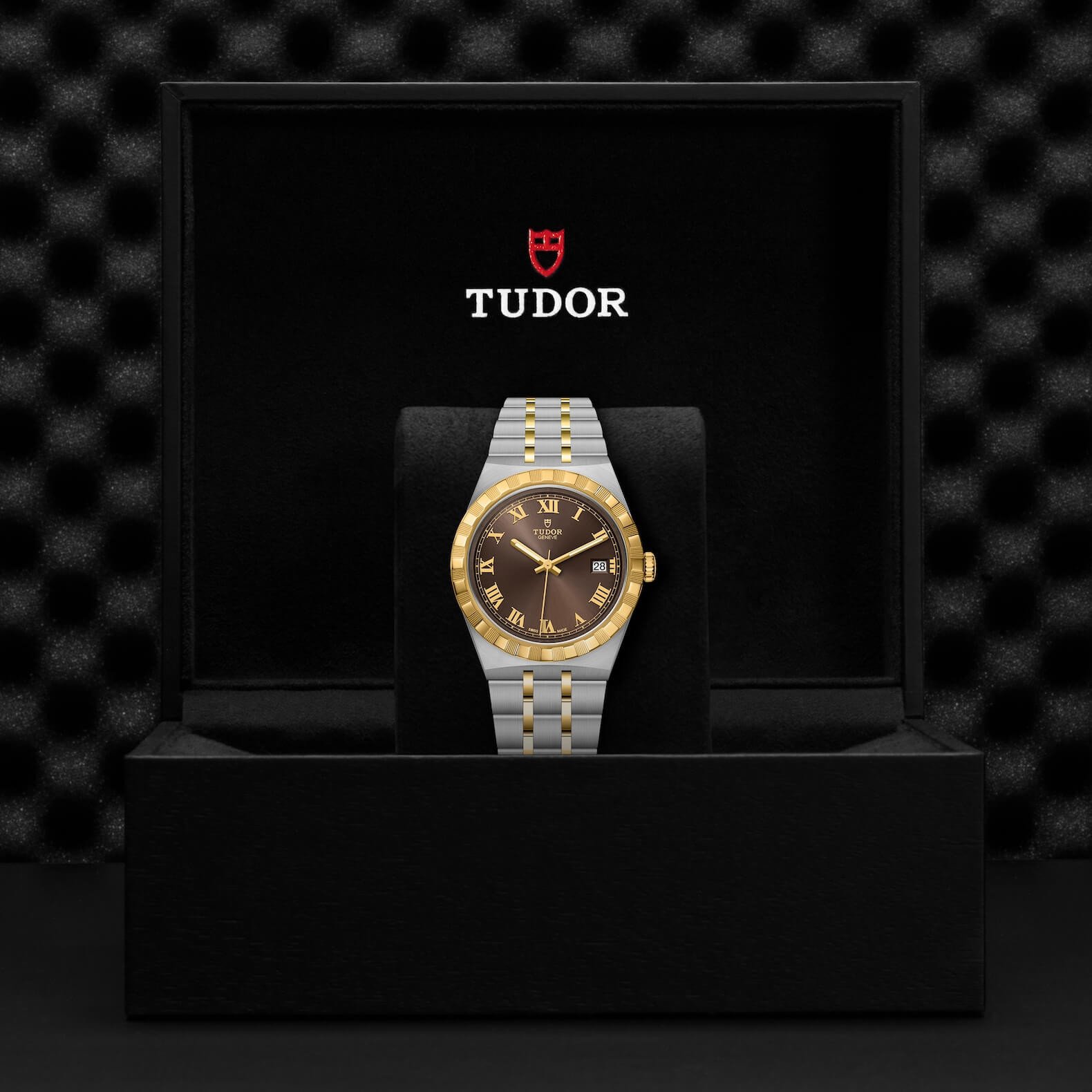 Tudor - Global Watch Company