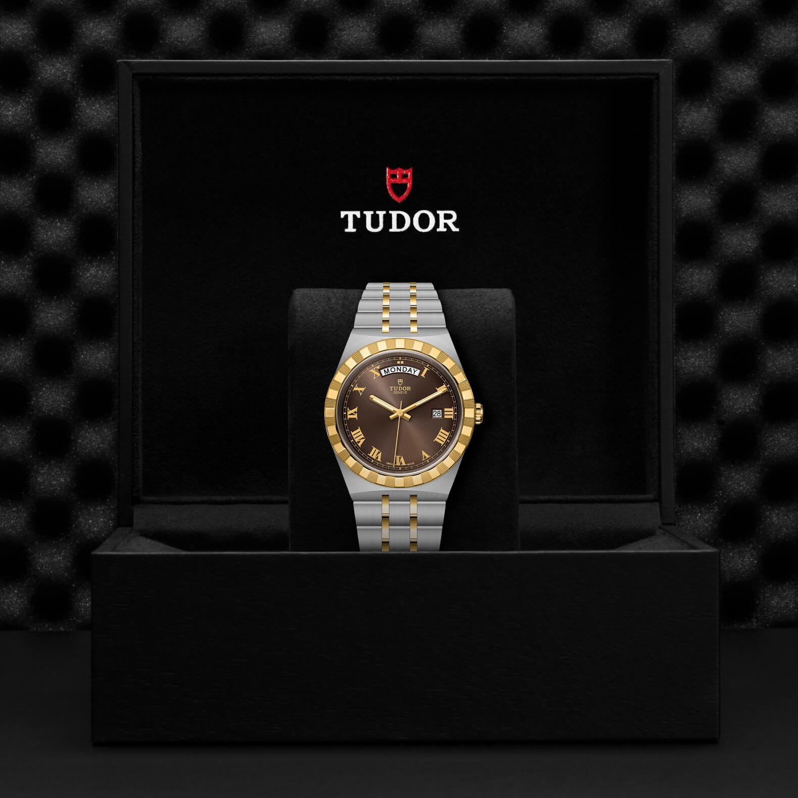 Tudor - Global Watch Company