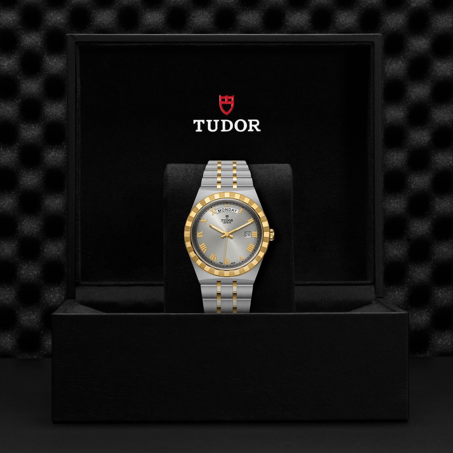 Tudor - Global Watch Company