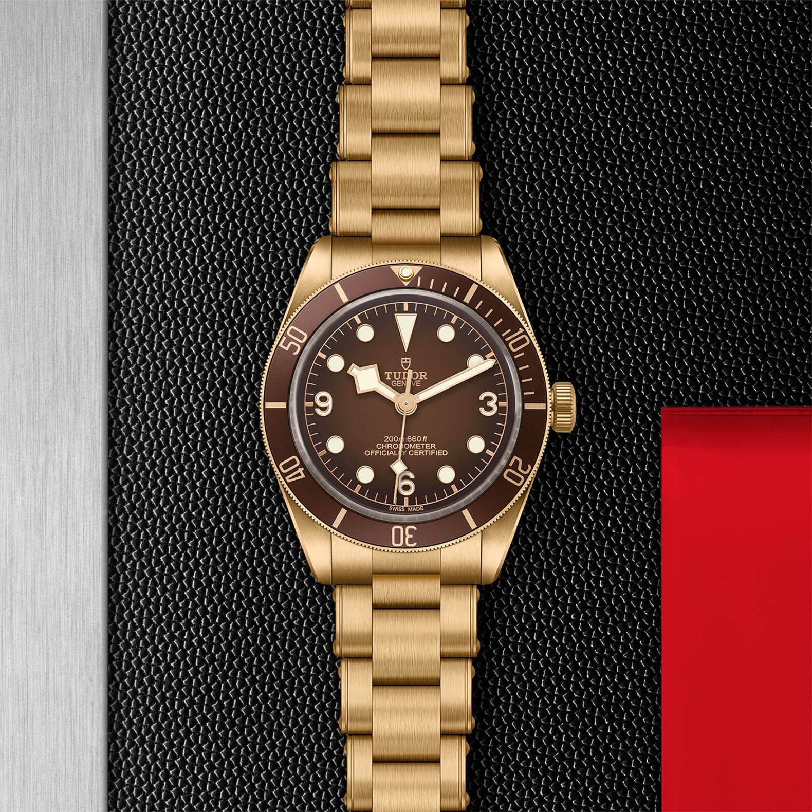 Tudor - Global Watch Company