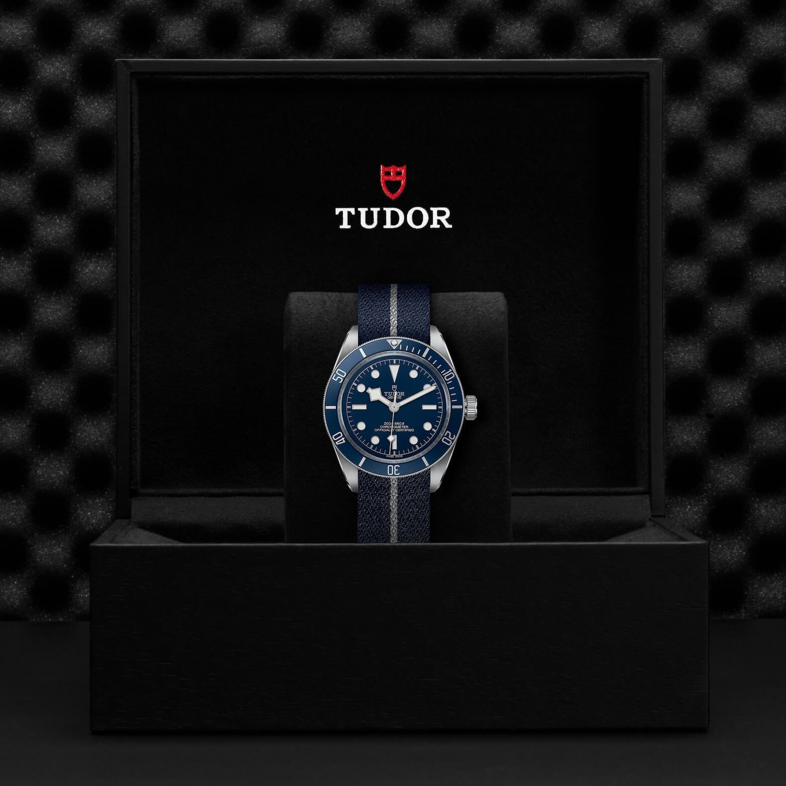 Tudor - Global Watch Company