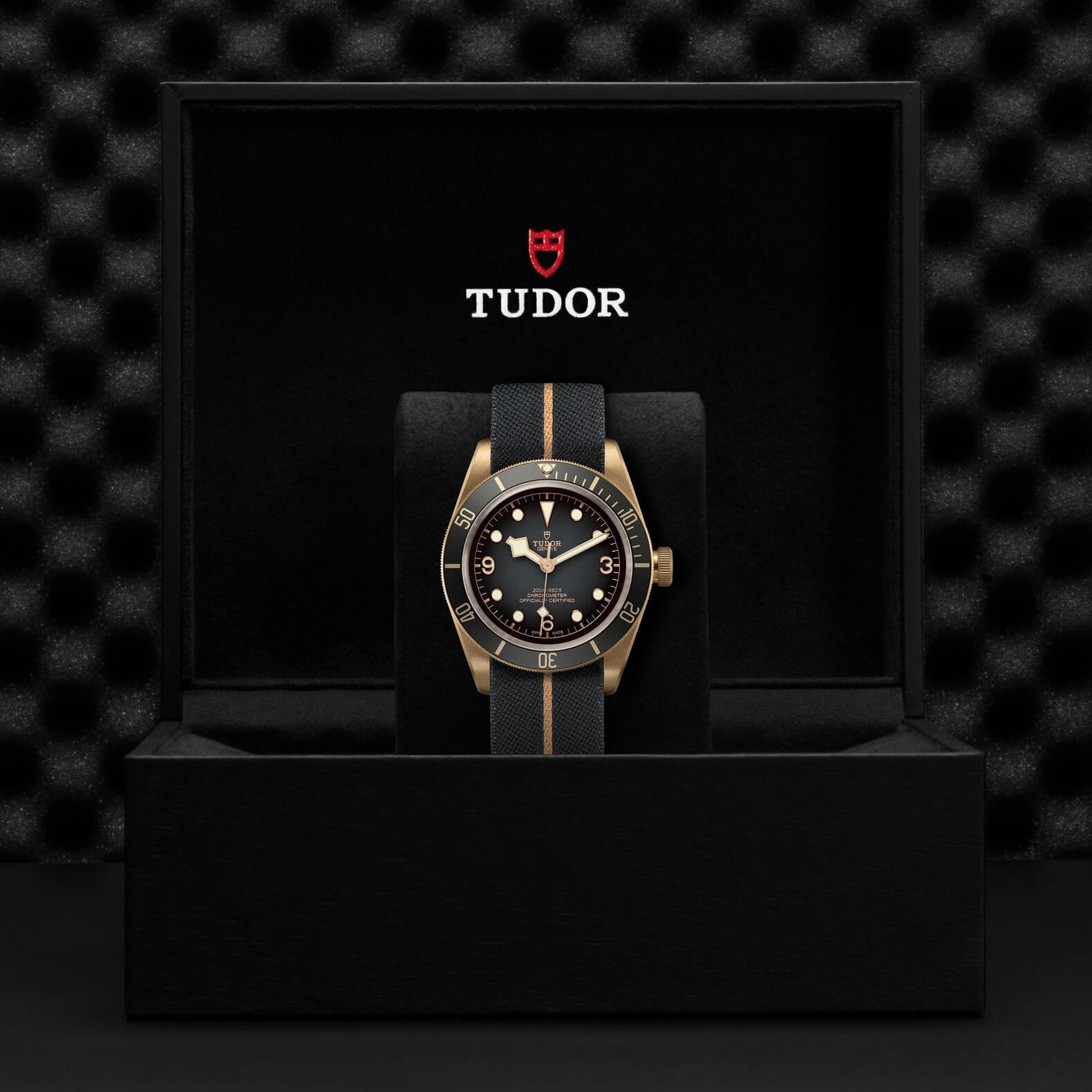 Tudor - Global Watch Company