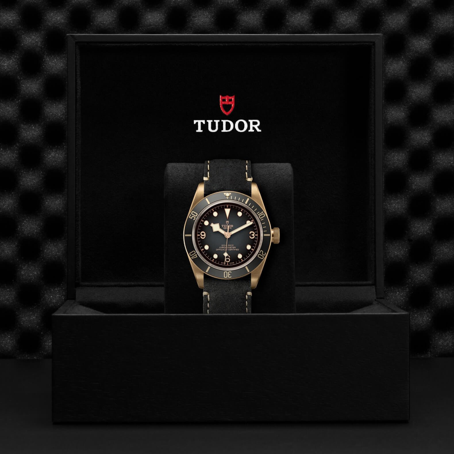Tudor - Global Watch Company