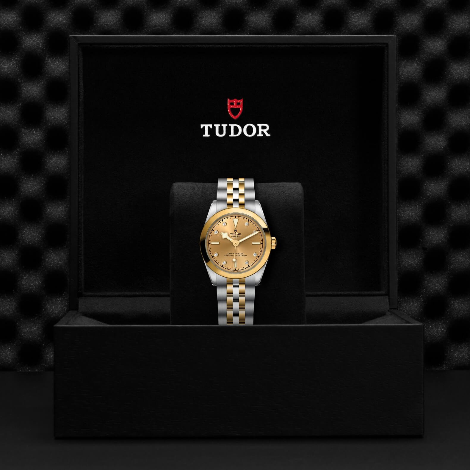 Tudor - Global Watch Company