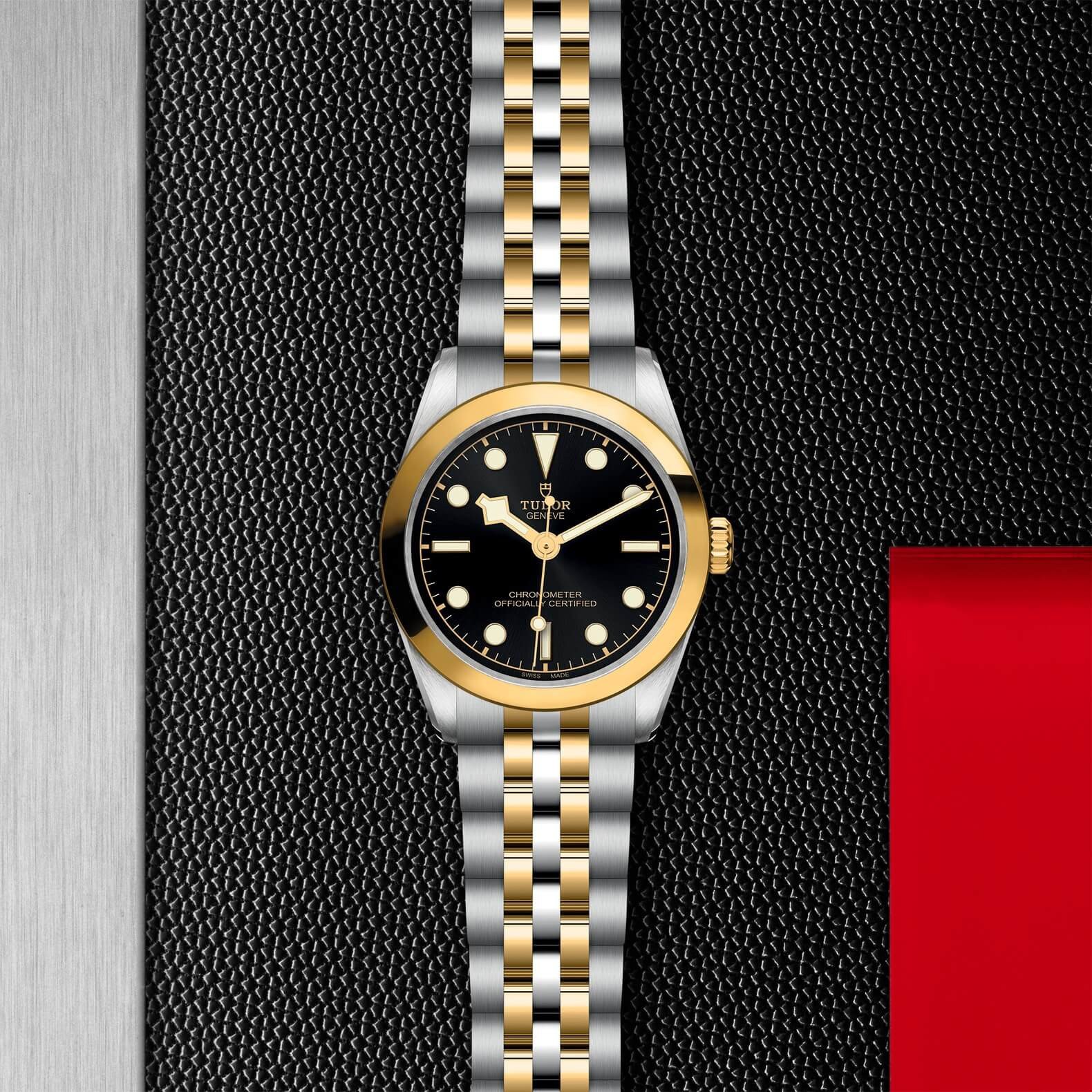 Tudor - Global Watch Company