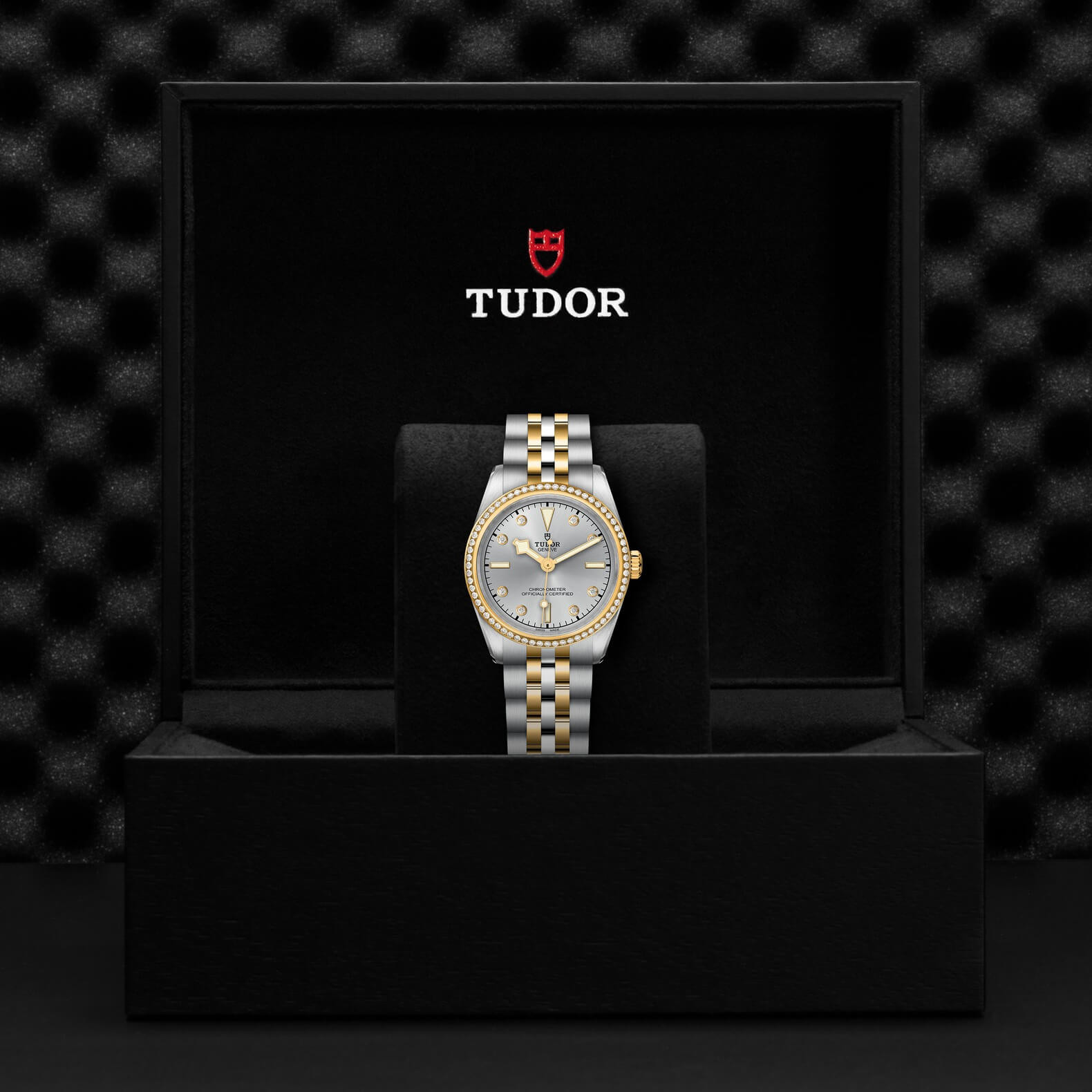Tudor - Global Watch Company