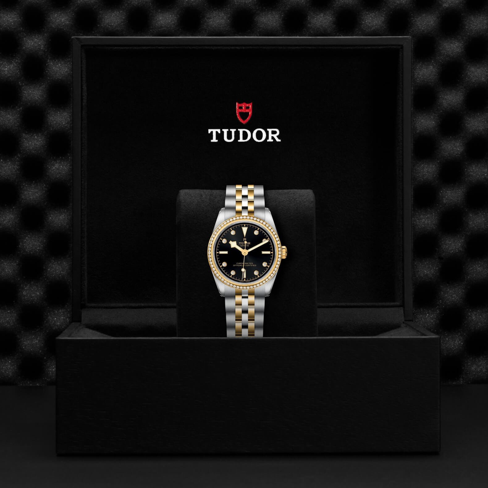 Tudor - Global Watch Company