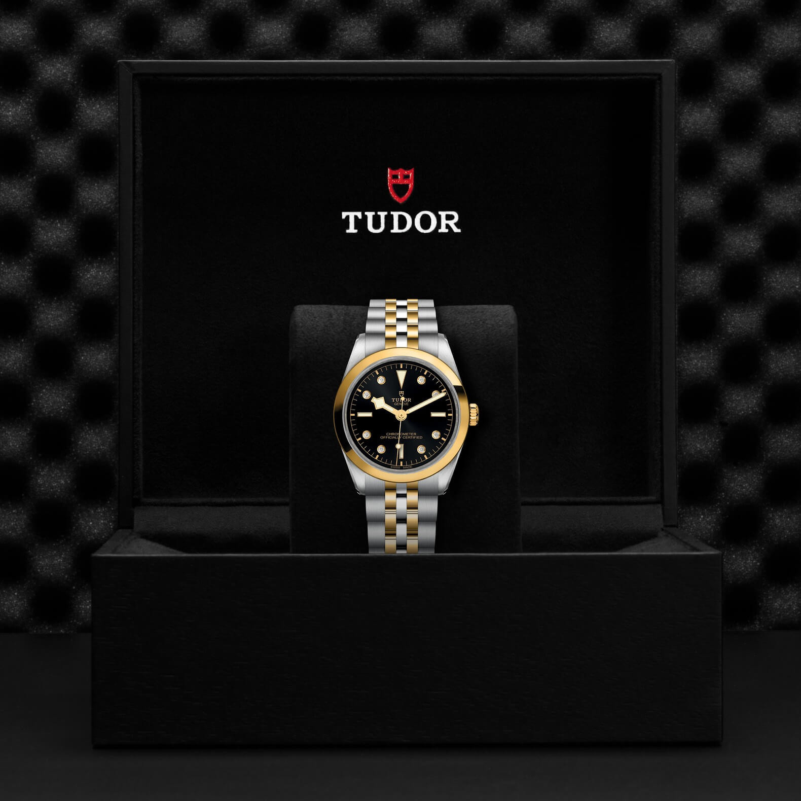 Tudor - Global Watch Company